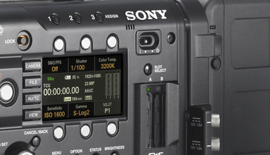 Intro image for article Using Sony's 2K Optical Low Pass Filter on the F5 and F55