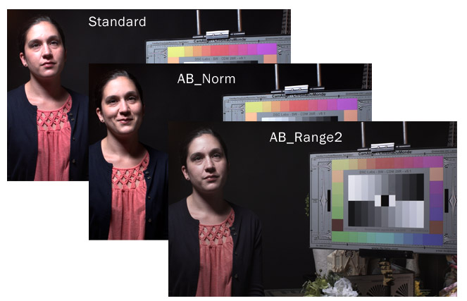 FS100Profiles