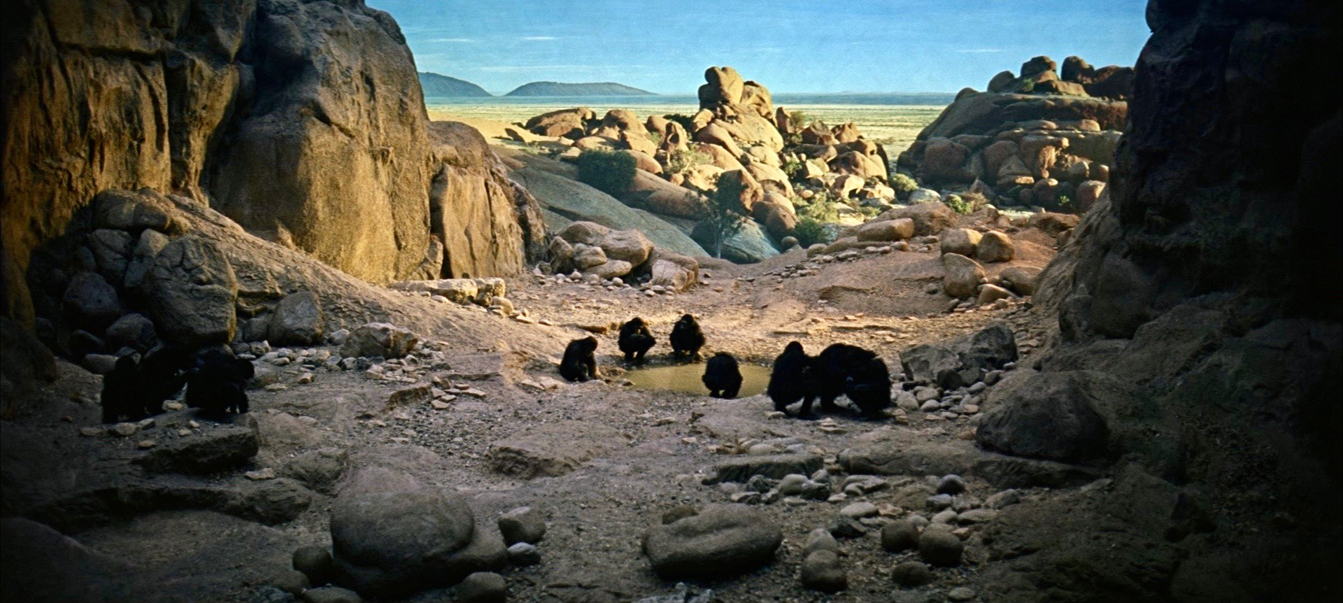Dawn of Man sequence front projection from Stanley Kubrick's 2001: A Space Odyssey
