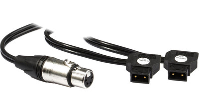 Hive Lighting Hornet 200-C Dual Battery Y-Cable - Dual D-Tap to XLR