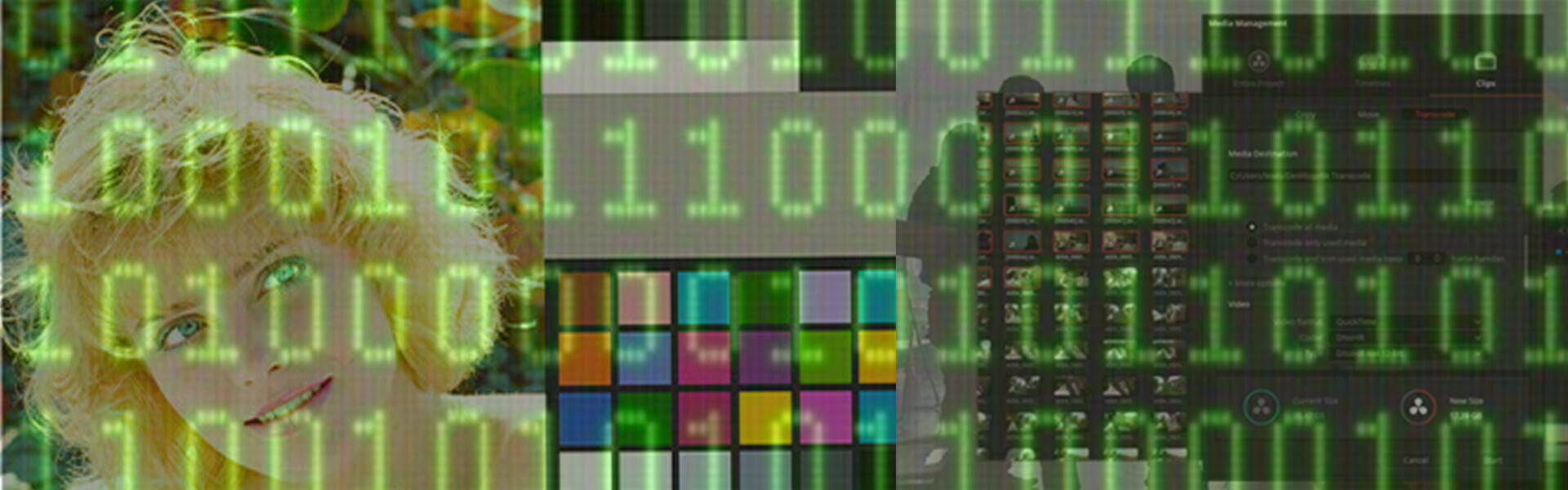 Header image for article Introducing the Advanced Digital Cinema Series of Online Classes