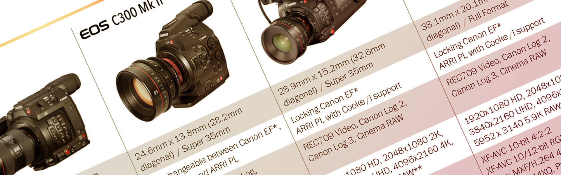 Header image for article Canon Cinema EOS Camera Lineup