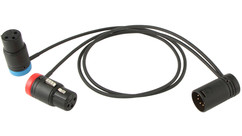 Cable Techniques Low-Profile Dual XLR-3F to XLR-5M Stereo Y-Cable -18", Blue/Red