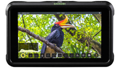 ATOMOS Shinobi 5" HDMI HDR Field Monitor