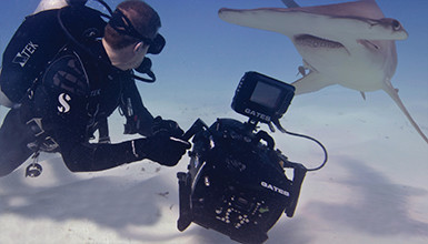 Intro image for article A Tour of the New Gates Underwater TVL55 External Monitor Housing