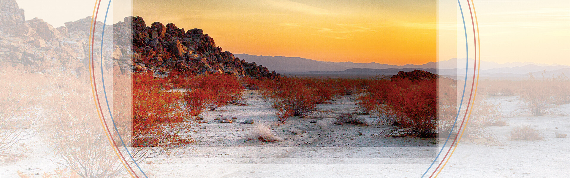 Header image for article A Practical Introduction to Full Format