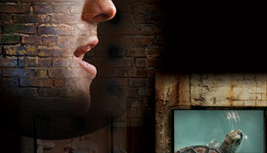 Intro image for article 2013 AbelCine Documentary Grant Winners Revealed