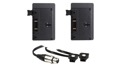 Hive Dual Gold Mount Battery Plate with Y-Cable for Hornet 200-C LED Light