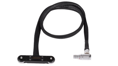 Wooden Camera Male Pogo to Male LEMO LCD/EVF Cable for RED WEAPON / SCARLET-W / RAVEN - 24"