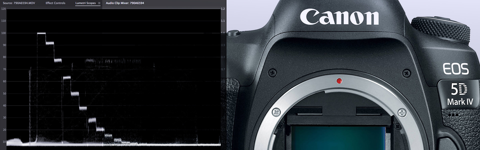 Header image for article Canon Log for the 5D Mark IV
