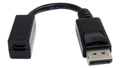 StarTech 6" DisplayPort to Mini DisplayPort Video Cable Adapter - M/F