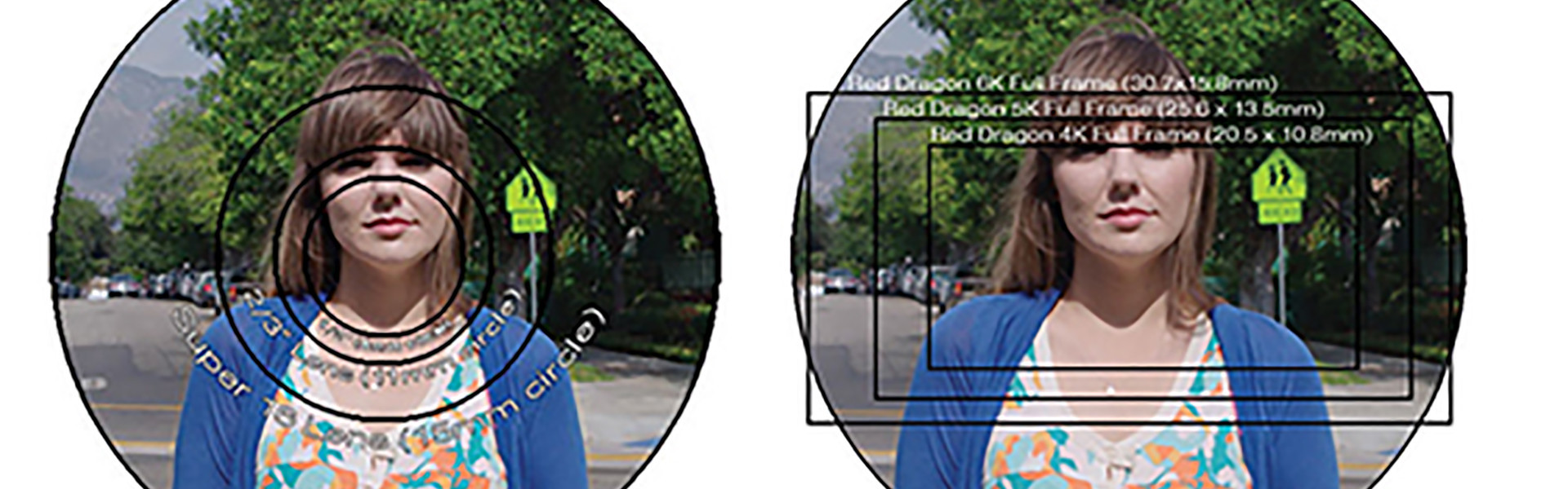 Header image for article Sensors, Circles, and Lens Coverage